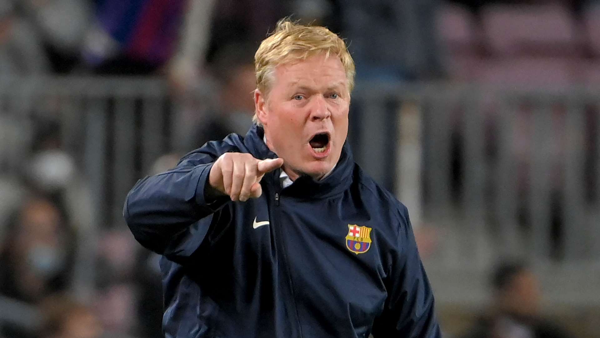 杜库雷的场 杜库雷的场