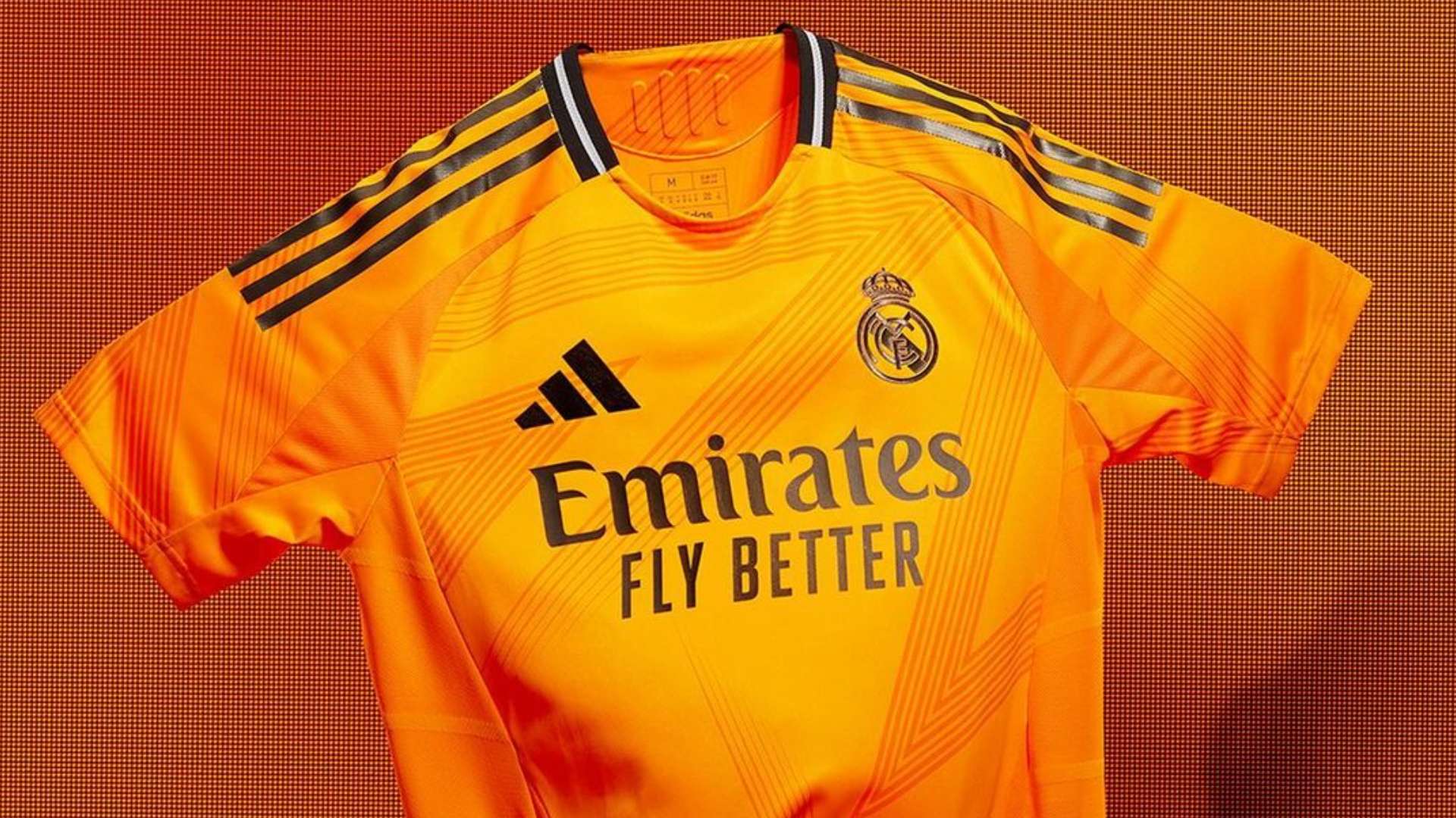 哈维与小白 哈维与小白