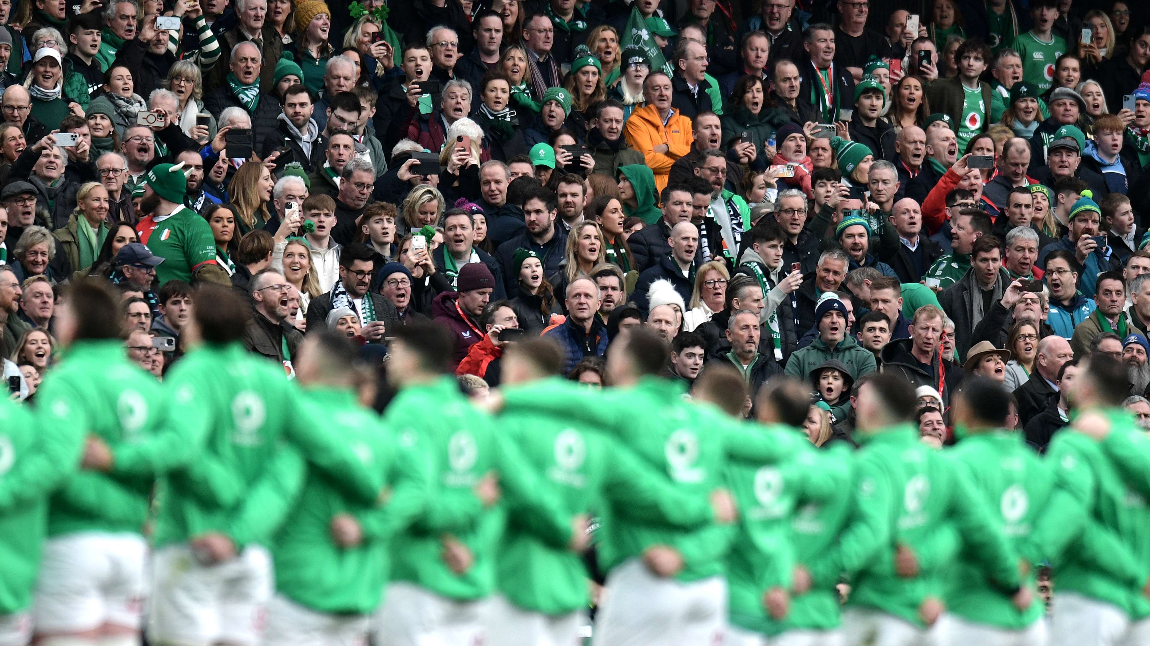 蓬勃向上 蓬勃向上